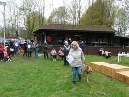 hunderennen 16 04 23