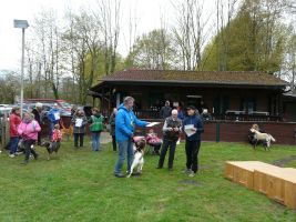 hunderennen 16 04 23