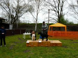 hunderennen 16 04 23