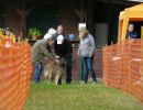 hunderennen 20 10 24