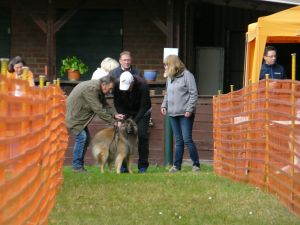 hunderennen 20 10 24