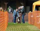 hunderennen 20 10 24