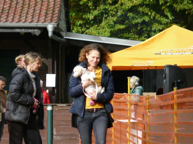 hunderennen 20 10 24