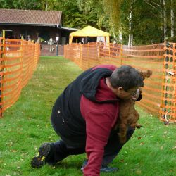 hunderennen 20 10 24