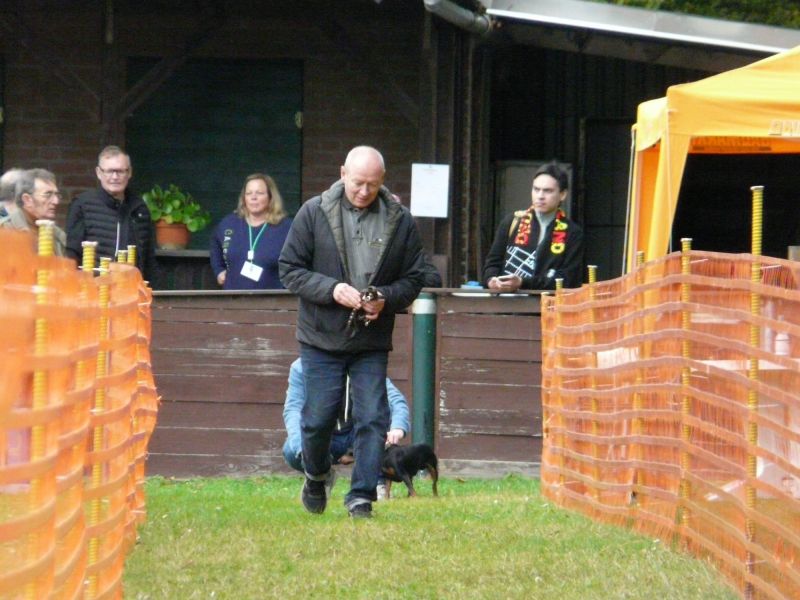 hunderennen 20 10 24