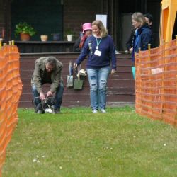 hunderennen 20 10 24