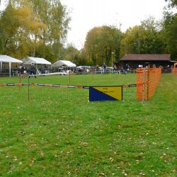 hunderennen 20 10 24