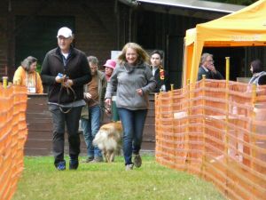 hunderennen 20 10 24