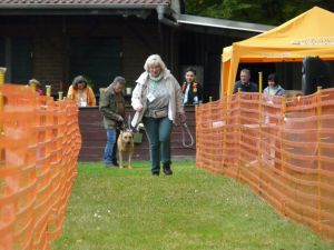 hunderennen 20 10 24
