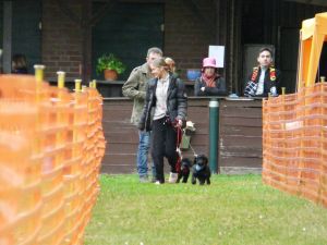hunderennen 20 10 24