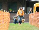 hunderennen 20 10 24