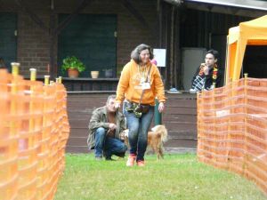 hunderennen 20 10 24