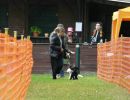 hunderennen 20 10 24