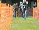 hunderennen 20 10 24