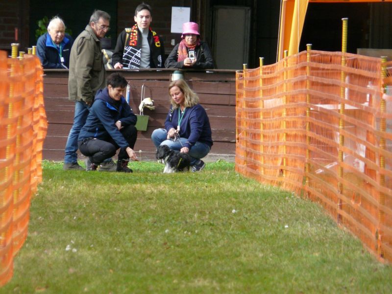 hunderennen 20 10 24
