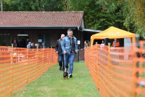 hunderennen 20 10 24