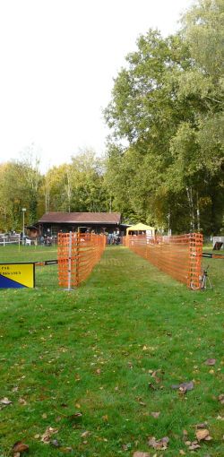 hunderennen 20 10 24