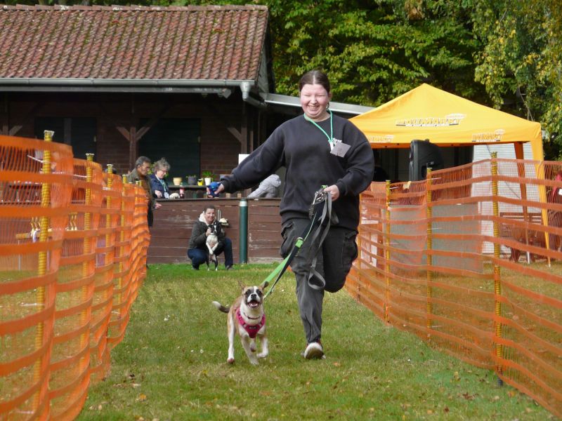 hunderennen 20 10 24