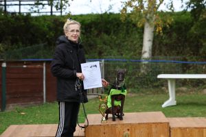 hunderennen 20 10 24