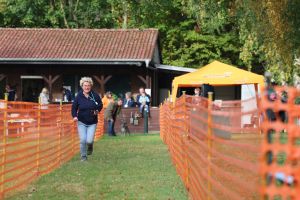 hunderennen 20 10 24