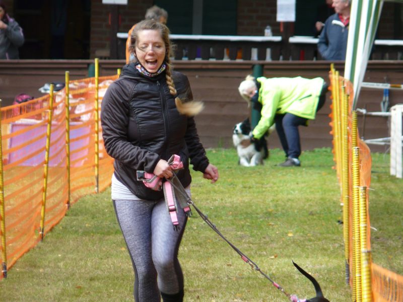 hunderennen 2020