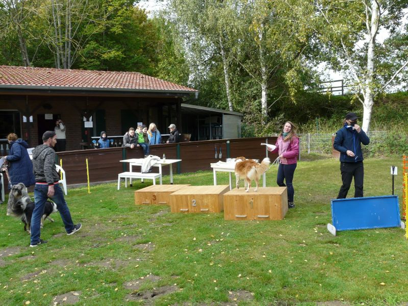 hunderennen 2020