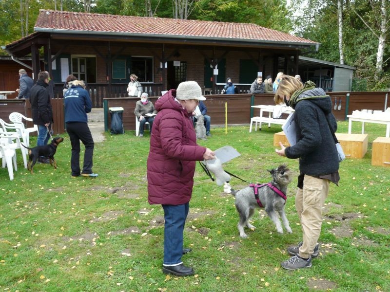 hunderennen 2020