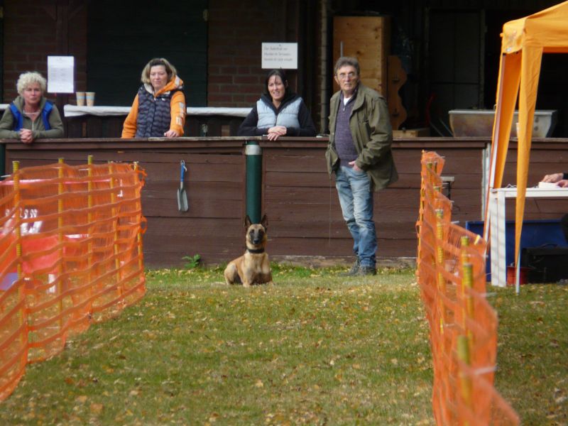 hunderennen 2021