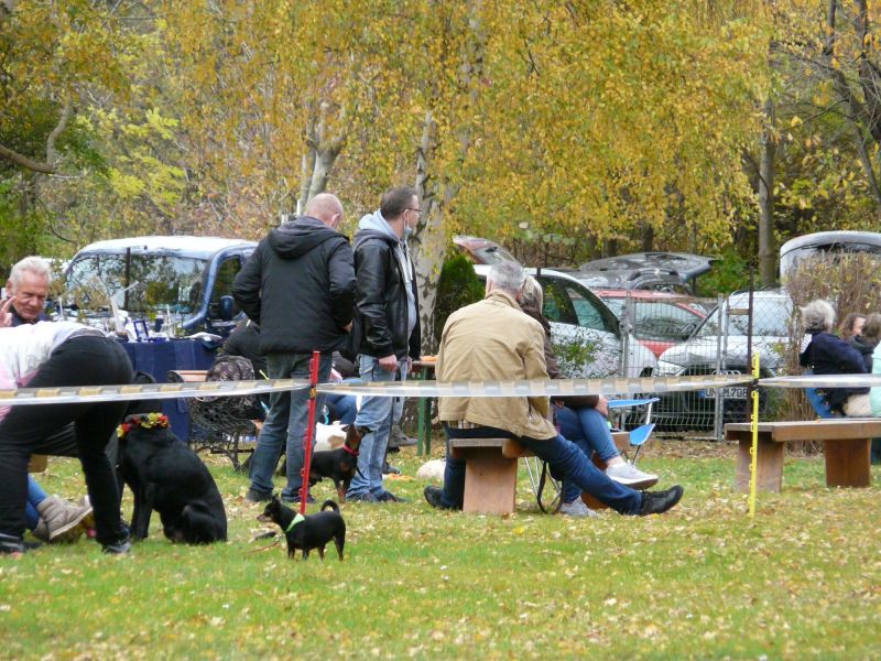 hunderennen 2021