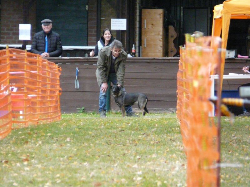 hunderennen 2021