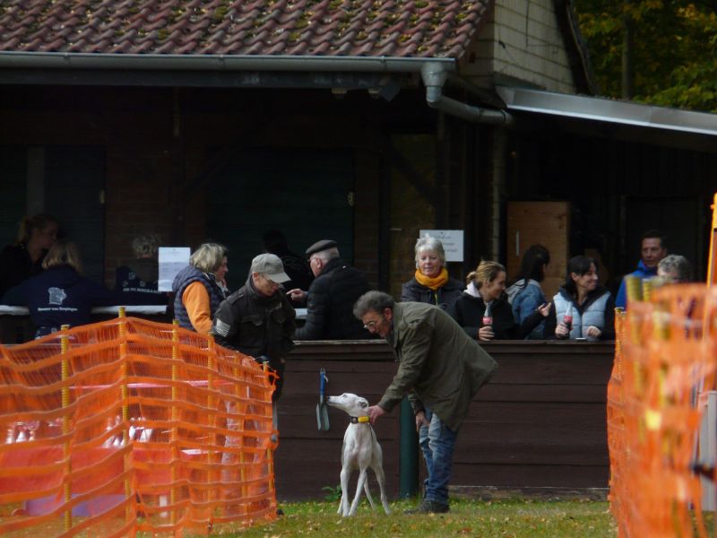 hunderennen 2021