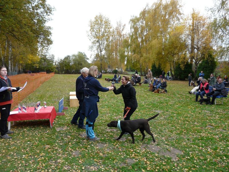 hunderennen 2021