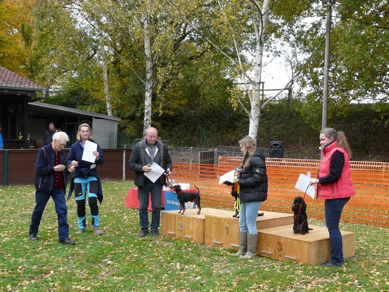 hunderennen021 487  