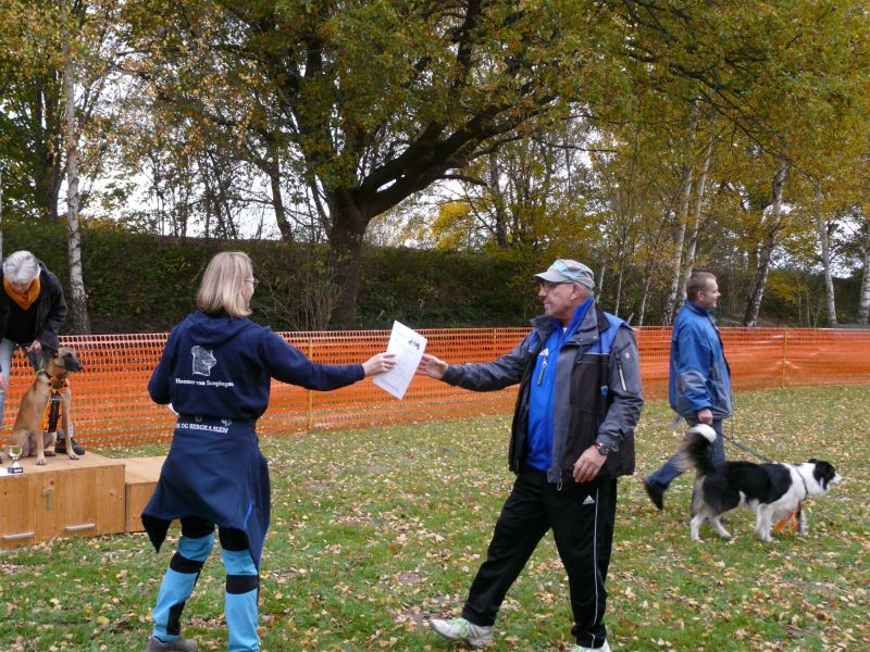hunderennen 2021