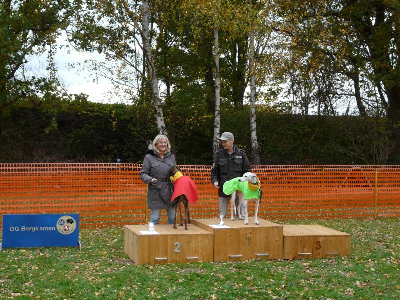 hunderennen 2021