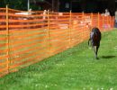 lw4a0916