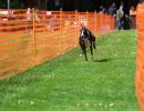 lw4a0924