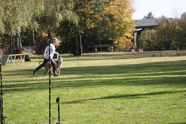 thstunier2012