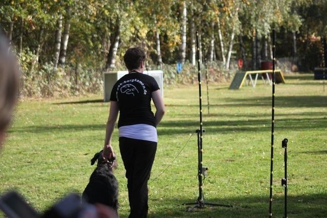 thstunier2012