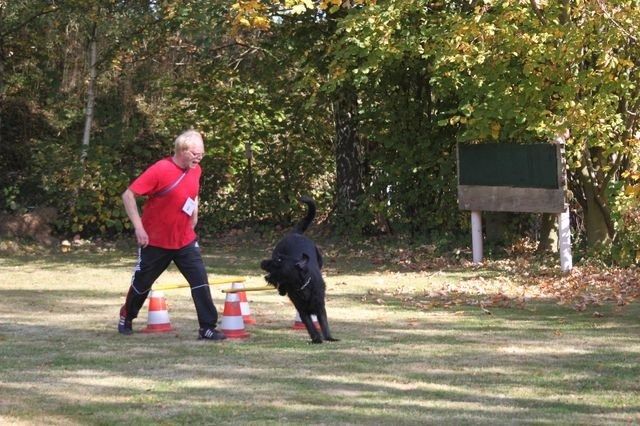 thstunier2012 kopie