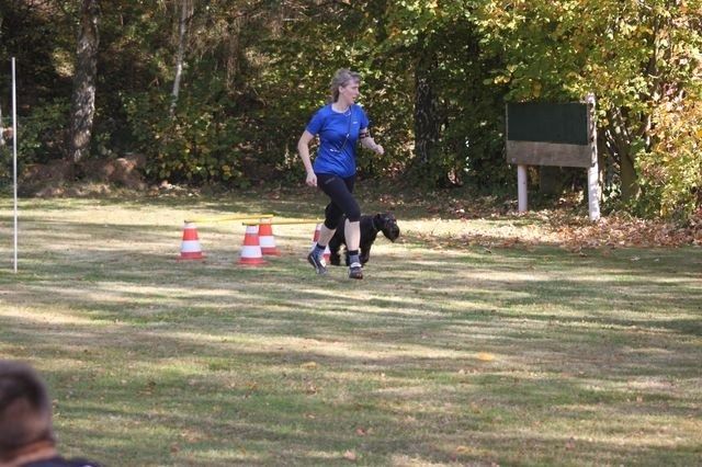 thstunier2012