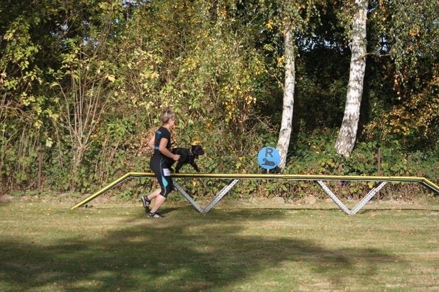 thstunier2012