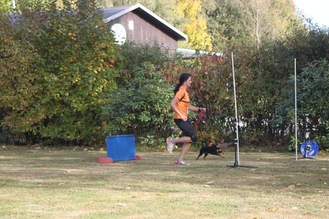 thstunier2012