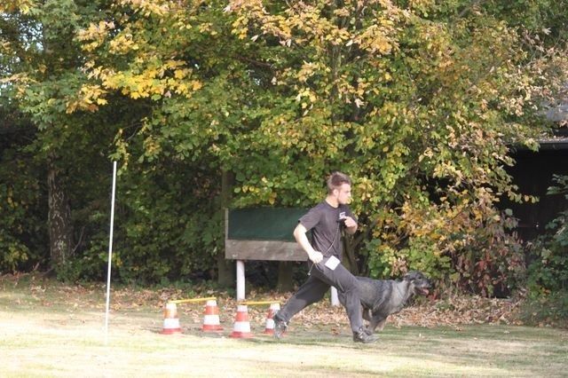 thstunier2012