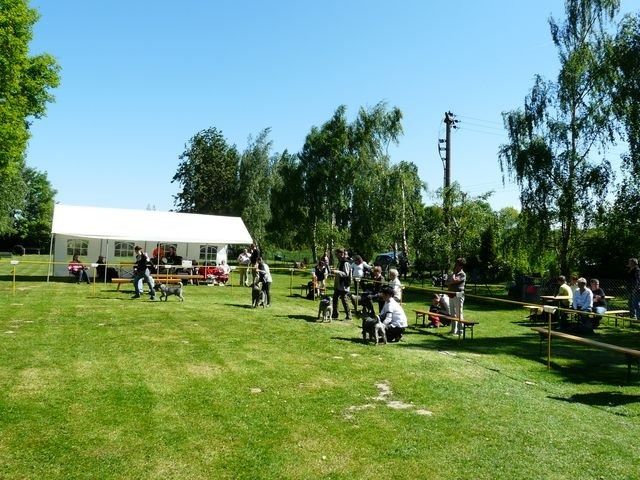 pskogschau2011